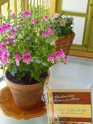 Süit, Banyolu/Duşlu (JULIETTE & PAUL)