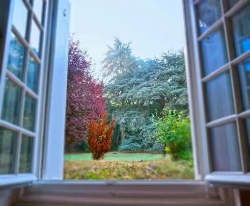 Comfort Tek Büyük veya İki Ayrı Yataklı Oda, 1 Yatak Odası, Engellilere Uygun, Bahçe Manzaralı