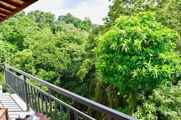 Deluxe Tek Büyük Yataklı Oda, Balkon, Dağ Manzaralı