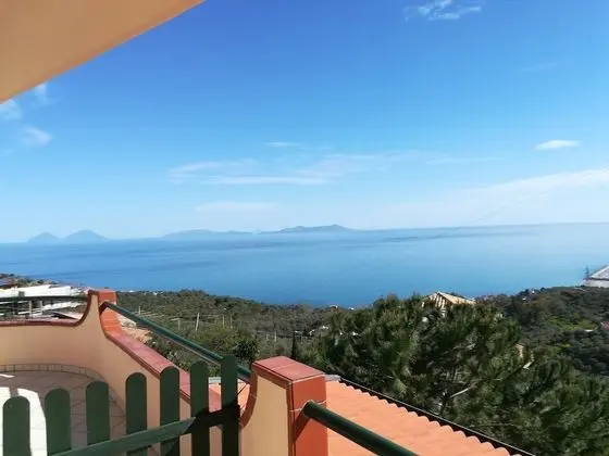 Deluxe Tek Büyük Yataklı Oda, Banyolu/Duşlu