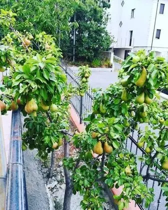 Tek Büyük Yataklı Oda, Özel Banyo