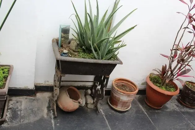 Apart Daire (Apartamento 109)