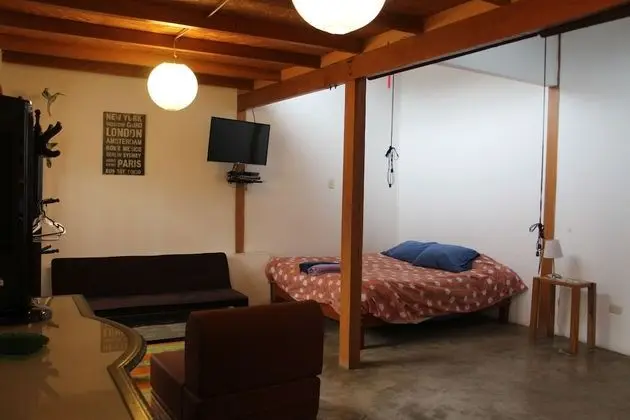 Traditional Apart Daire (Apartamento 113)