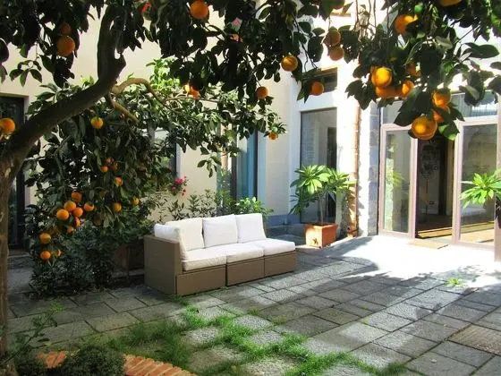 Superior Tek Büyük veya İki Ayrı Yataklı Oda, 1 Yatak Odası, Banyolu/Duşlu, Bahçe Manzaralı