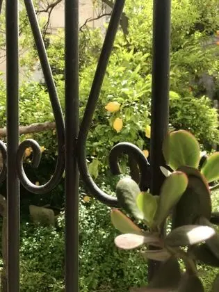 Standard Tek Büyük Yataklı Oda, Bahçe Manzaralı