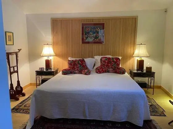 Comfort Tek Büyük Yataklı Oda (Comfort)