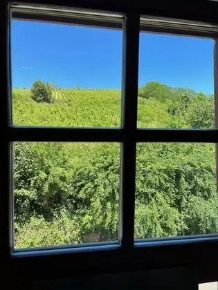 Ev, Birden Çok Yatak Odası, Özel Banyo, Üzüm Asması Manzaralı (Remparts Berckheimer Hof)