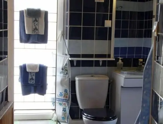 Tek Büyük Yataklı Oda, Banyolu/Duşlu (Chambre Rémi)