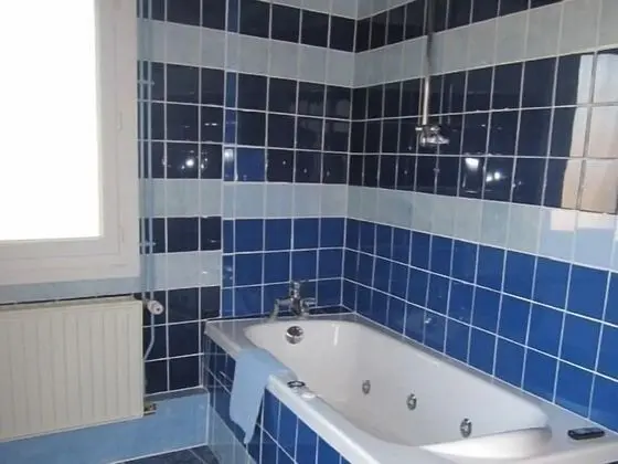 Tek Büyük Yataklı Oda, Banyolu/Duşlu (Chambre Rémi)