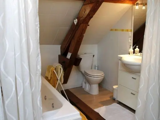 Üç Kişilik Oda, Banyolu/Duşlu (Chambre Lucile)