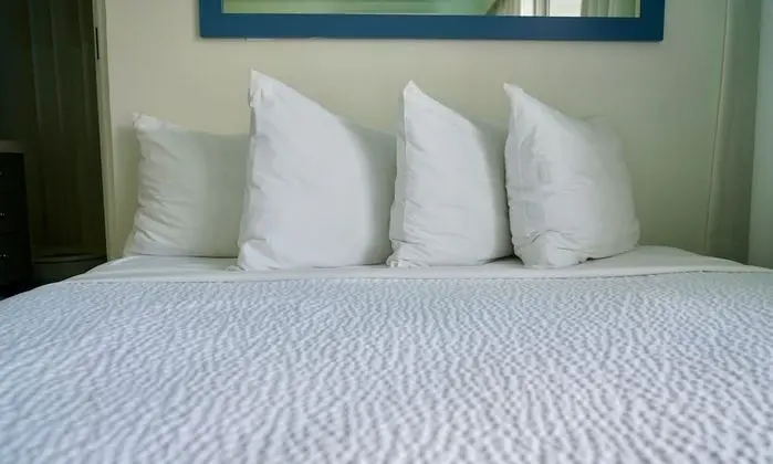 Çatı Katı Süiti (Penthouse), 1 En Büyük (King) Boy Yatak, Teras, Okyanus Manzaralı