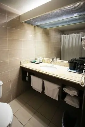 Luxury Oda, 1 En Büyük (King) Boy Yatak