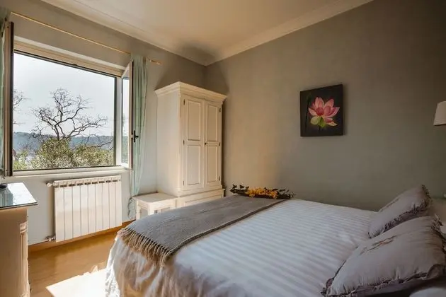 Panoramic Tek Büyük Yataklı Oda, Göl Manzaralı