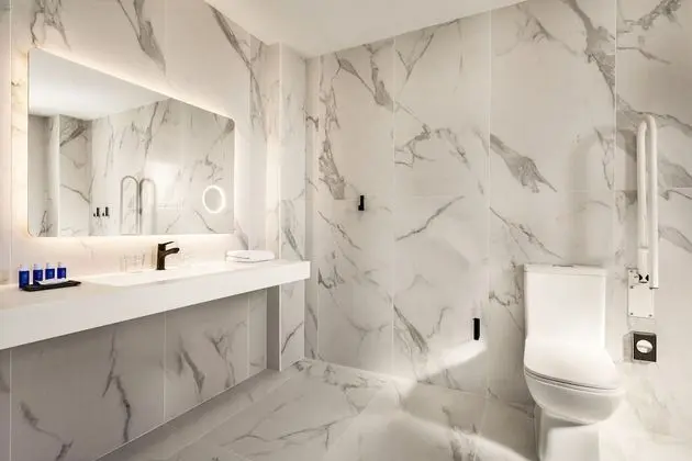 Deluxe Oda, 1 Çift Kişilik Yatak, Engellilere Uygun (Hearing)