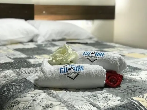 Executive Tek Büyük Yataklı Oda