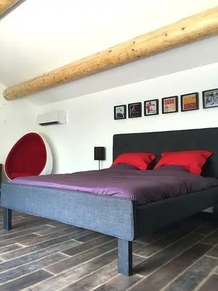 Süit
