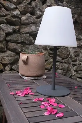 Tek Büyük Yataklı Oda (Graine de lin)