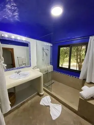 Superior Tek Büyük Yataklı Oda, 1 En Büyük (King) Boy Yatak