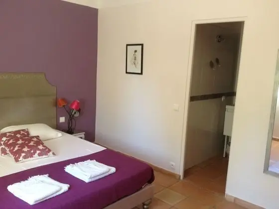 Tek Büyük Yataklı Oda (Lilas)