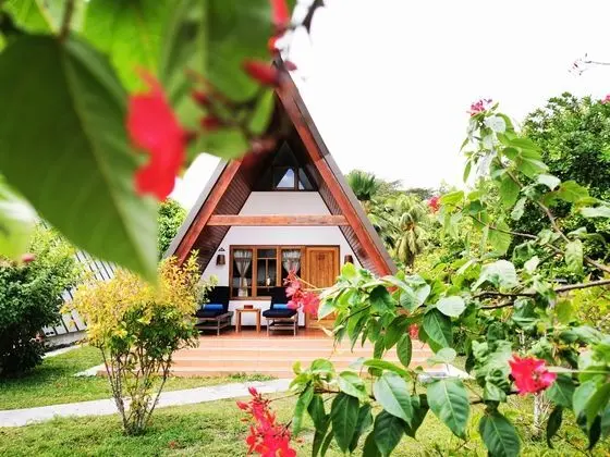 Garden A-Frame chalet
