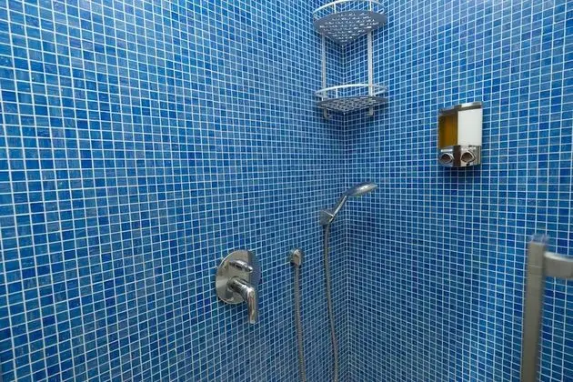 Senior Süit, Teras (BORDEAUX)