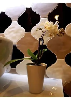 Family Oda, 2 Yatak Odası