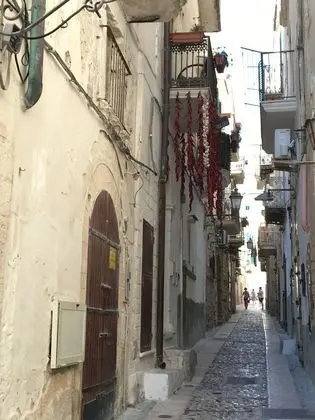 Stüdyo (Casa)