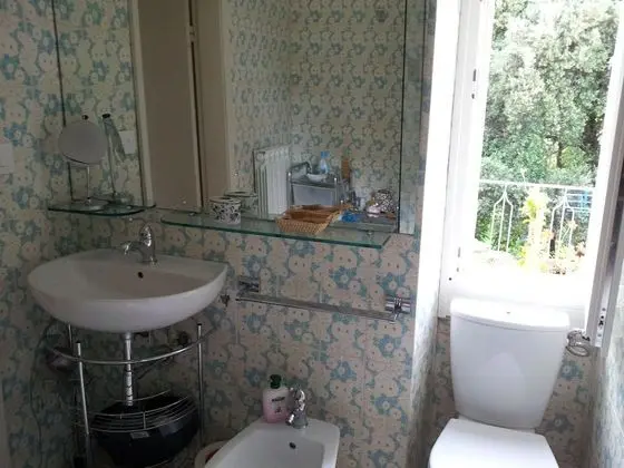 Traditional Tek Büyük Yataklı Oda, Ortak Banyo