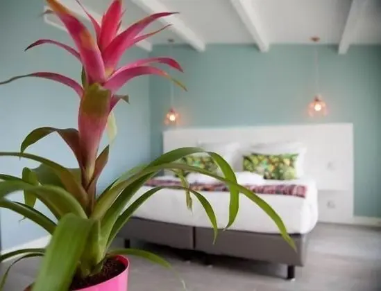 Superior Oda, Özel Banyo