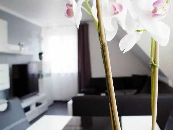 Premium Apart Daire, 1 Yatak Odası, Sigara İçilmez, Bahçe Manzaralı