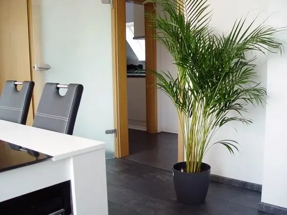 Premium Apart Daire, 1 Yatak Odası, Sigara İçilmez, Bahçe Manzaralı