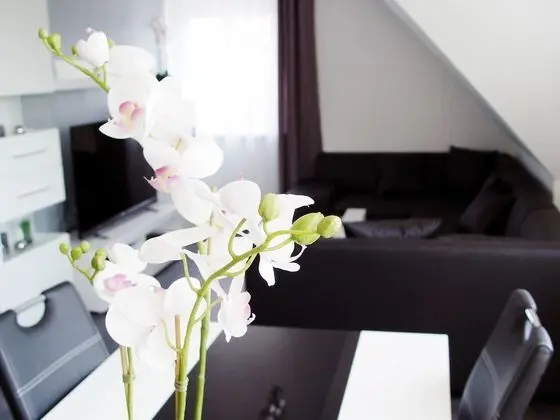 Premium Apart Daire, 1 Yatak Odası, Sigara İçilmez, Bahçe Manzaralı