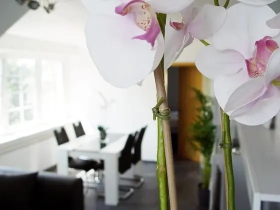 Premium Apart Daire, 1 Yatak Odası, Sigara İçilmez, Bahçe Manzaralı