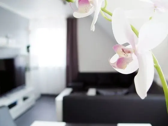 Premium Apart Daire, 1 Yatak Odası, Sigara İçilmez, Bahçe Manzaralı