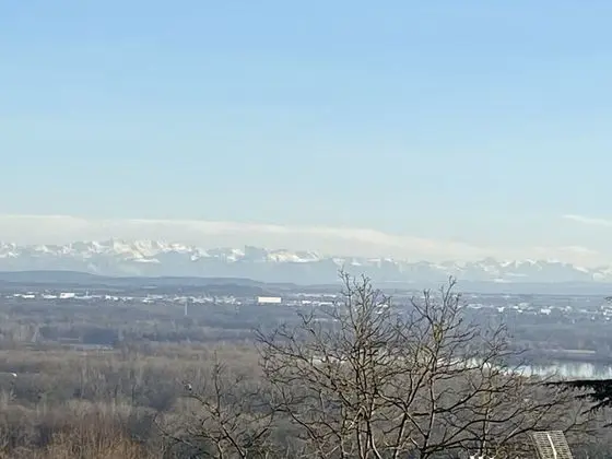 Tek Büyük Yataklı Oda, Balkon (Palmiers)
