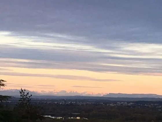 Tek Büyük Yataklı Oda, Balkon (Palmiers)
