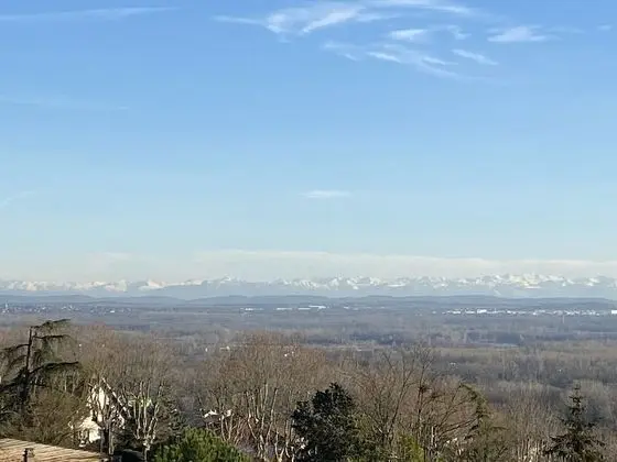 Tek Büyük Yataklı Oda, Teras (Cedres)