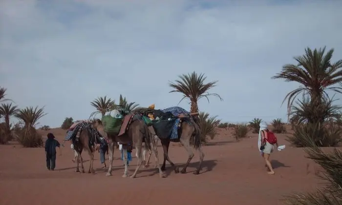 Çadır, 3 Tek Kişilik Yatak