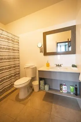 Signature Apart Daire, 1 En Büyük (King) Boy Yatak, Sigara İçilmez