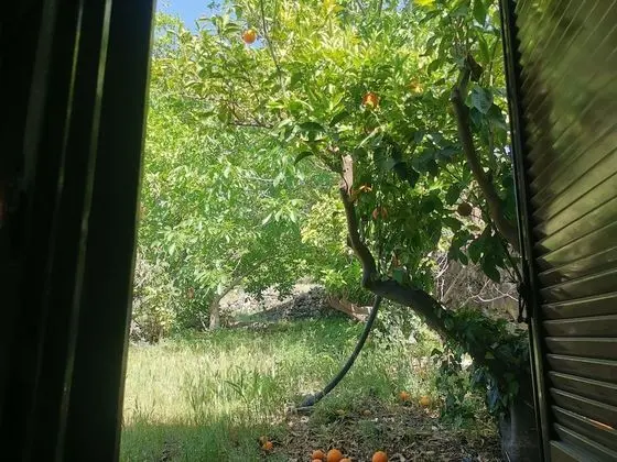Classic Tek Büyük veya İki Ayrı Yataklı Oda, Tepe Manzaralı