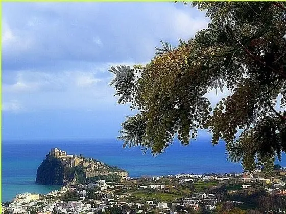 Apart Daire, 3 Yatak Odası, Sigara İçilebilir, Şömine