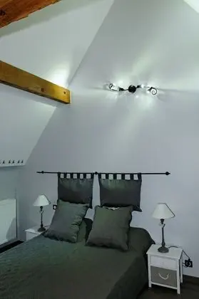 Comfort Tek Büyük Yataklı Oda (Chambre aux Hérons)