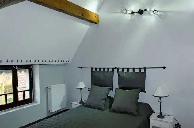 Comfort Tek Büyük Yataklı Oda (Chambre aux Hérons)