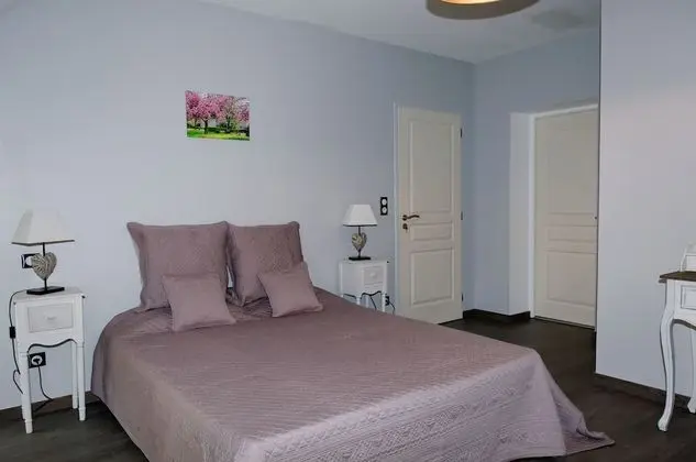 Superior Tek Büyük Yataklı Oda (Chambre aux Cygnes)