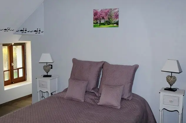 Superior Tek Büyük Yataklı Oda (Chambre aux Cygnes)