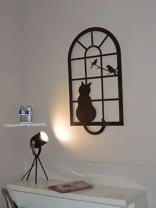 Tek Büyük Yataklı Oda (Maine Coon)