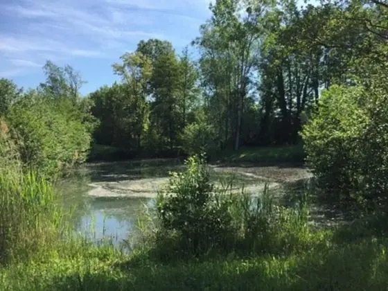 Tek Büyük Yataklı Oda, Bahçeli