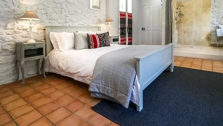 Deluxe Tek Büyük Yataklı Oda (Cerises)