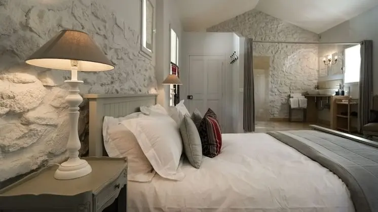 Deluxe Tek Büyük Yataklı Oda (Cerises)