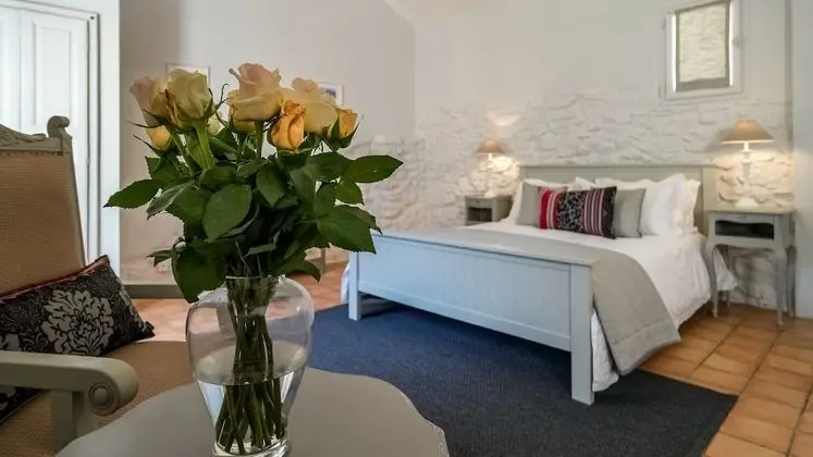 Deluxe Tek Büyük Yataklı Oda (Cerises)